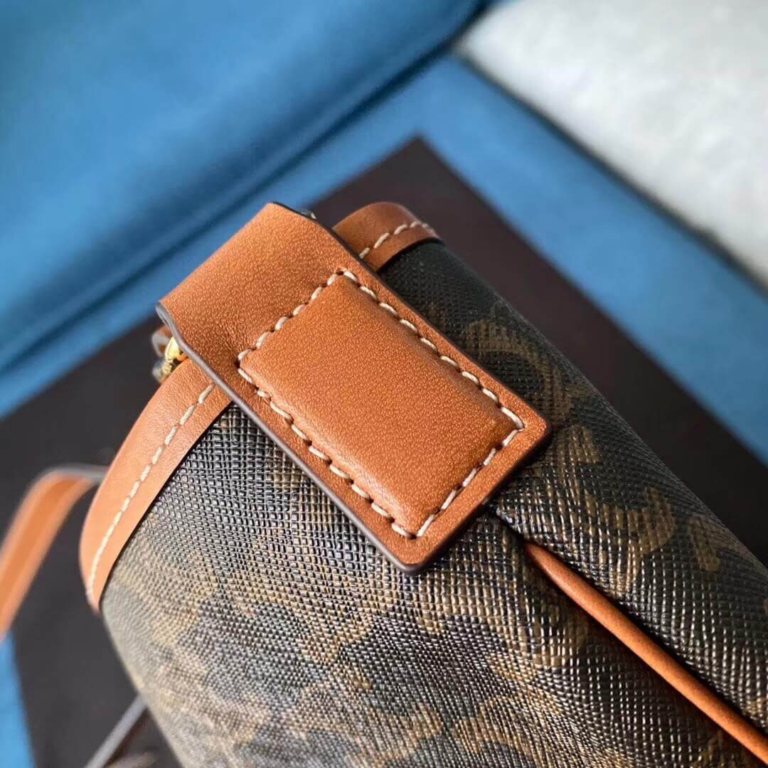 Celine Medium Bucket In Triomphe Canvas 191132