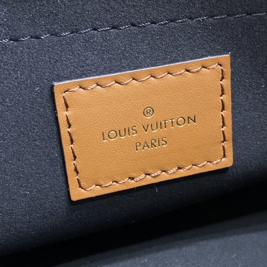 Louis Vuitton Multi Pochette Accessoires M45839 M58520