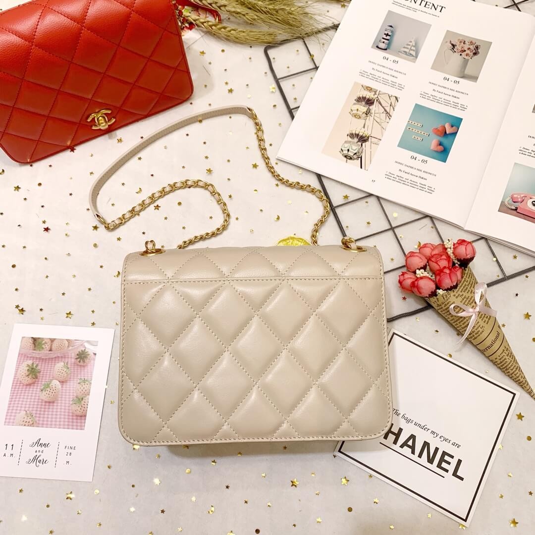 Chanel Calf Leather Single Flap Bag AS8869