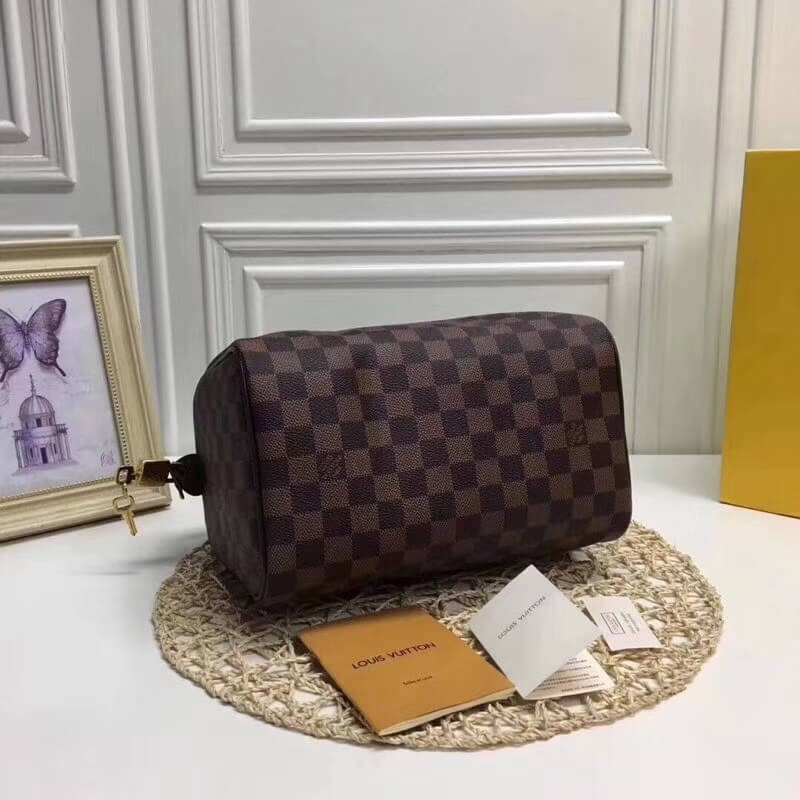 Louis Vuitton Damier Ebene Canvas Speedy 25 N41365