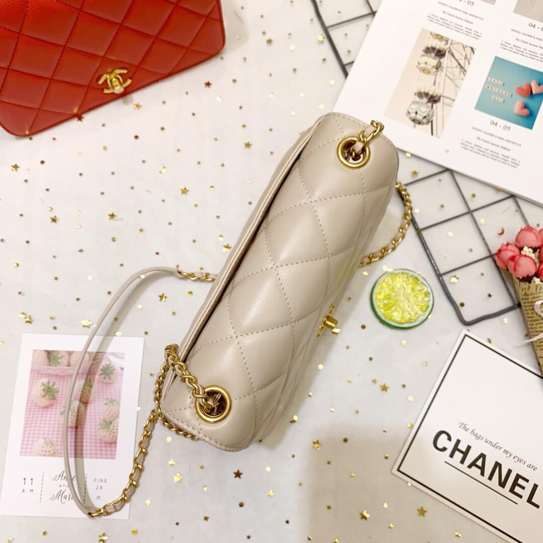 Chanel Calf Leather Single Flap Bag AS8869
