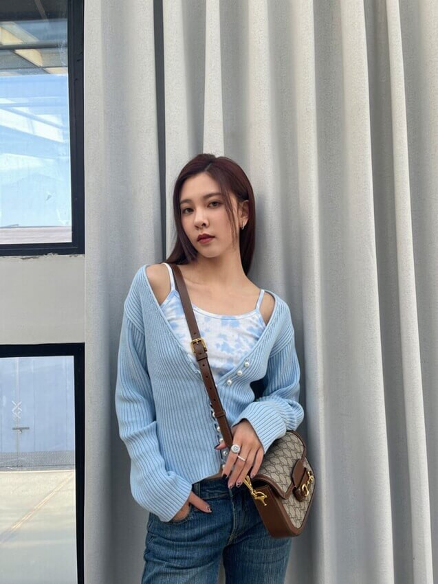 Gucci Horsebit 1955 Mini Bag in GG Supreme 658574