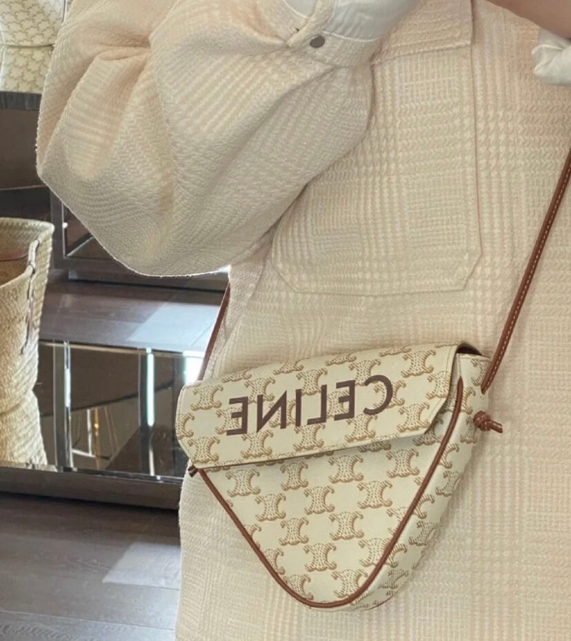 Celine Triangle Bag In Triomphe Canvas With Celine Print 195902