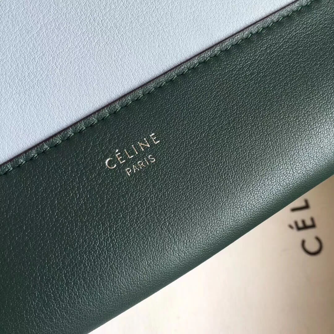 Celine Frame Medium Shoulder Bag 180263 Dark Green/Light Green