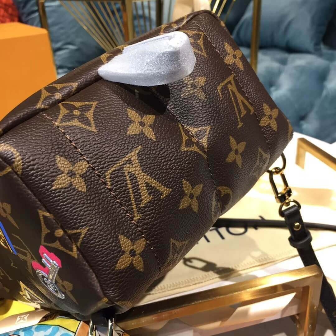 Louis Vuitton Monogram Canvas Palm Springs Backpack Mini M44367