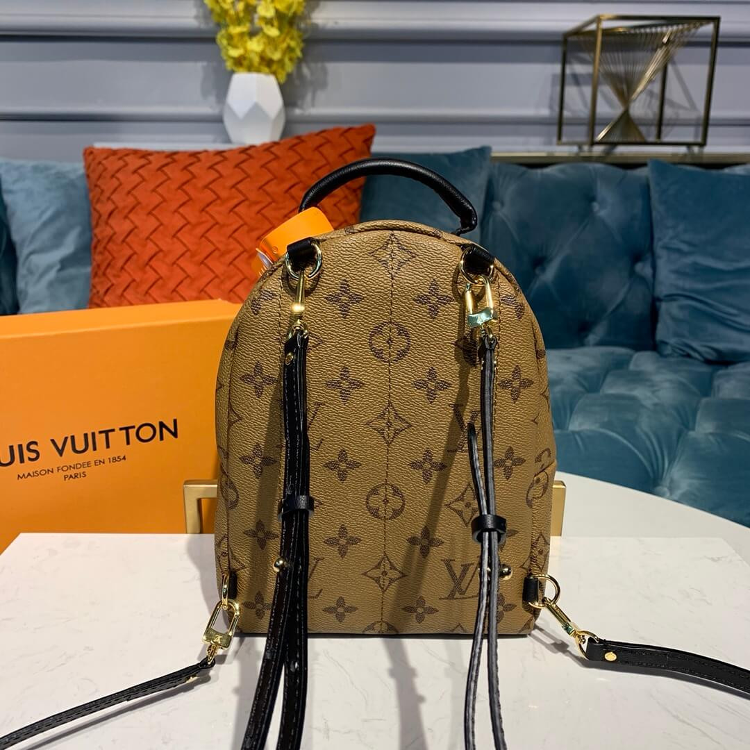 Louis Vuitton Monogram Canvas Palm Springs Backpack Mini M42411