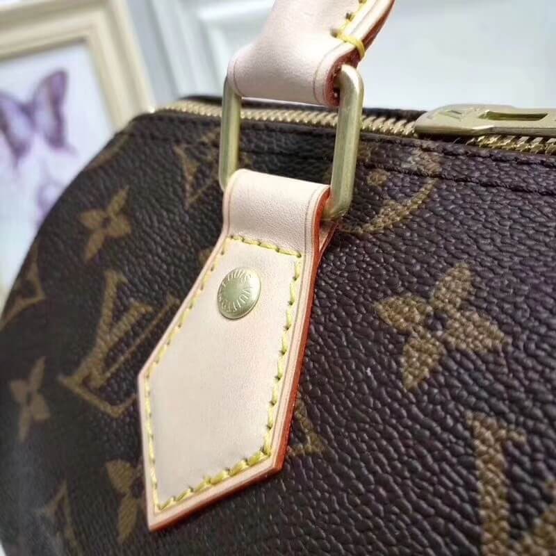 Louis Vuitton Monogram Canvas Speedy Bandouliere 25 M41113