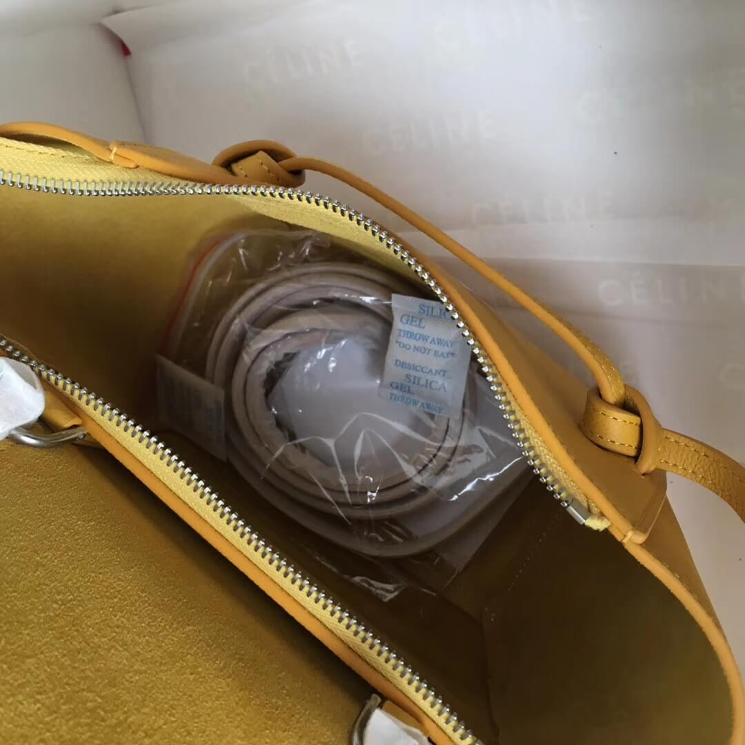 Celine Micro Belt Bag In Grained Calfskin 189153 Yellow