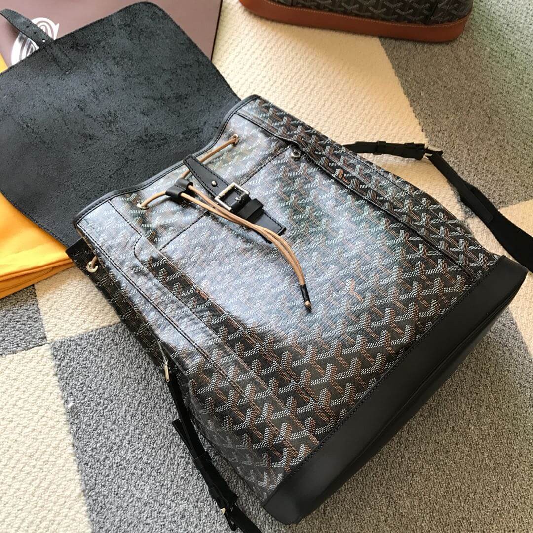 Goyard Calfskin Alpin Backpack 169555