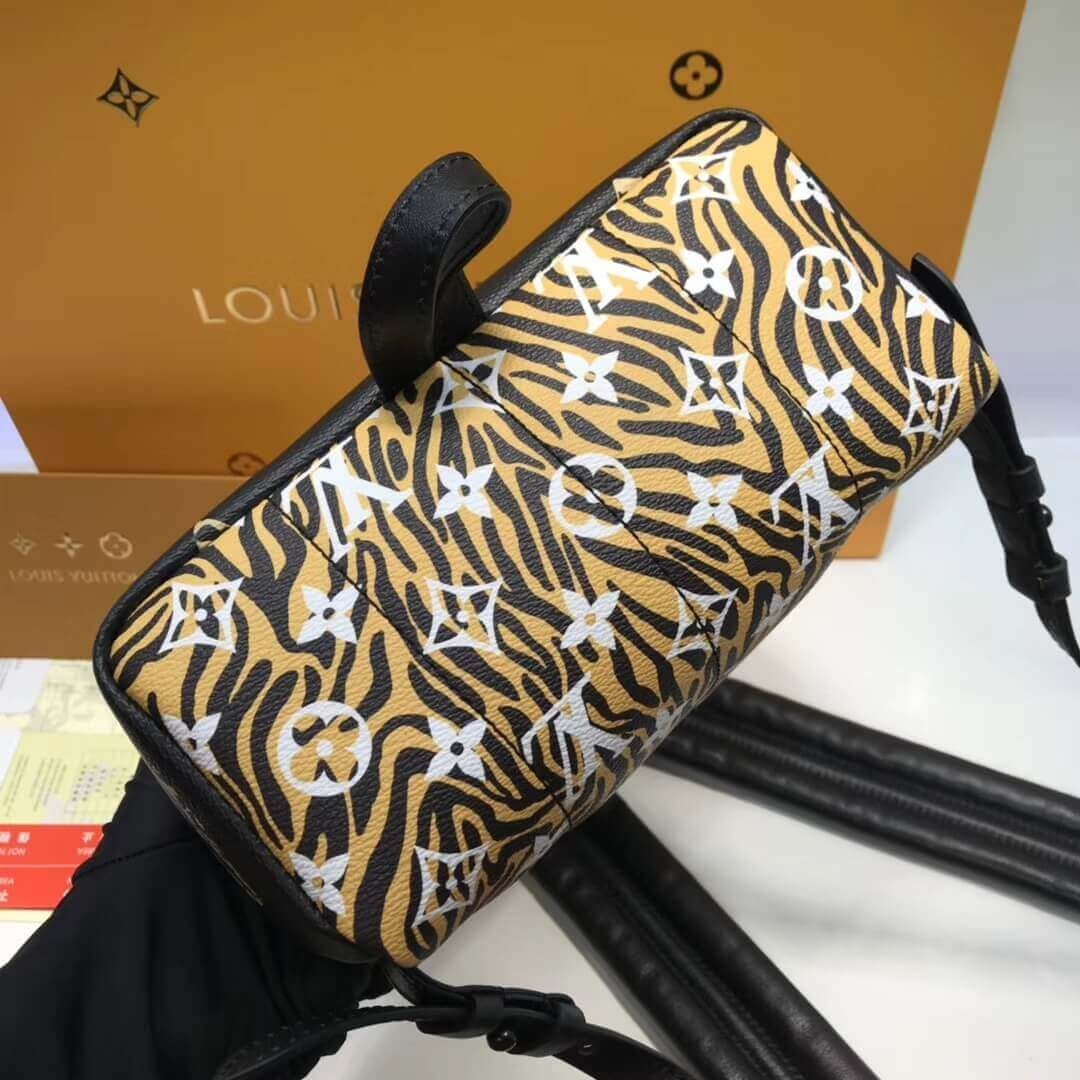 Louis Vuitton Palm Springs Backpack PM M44718