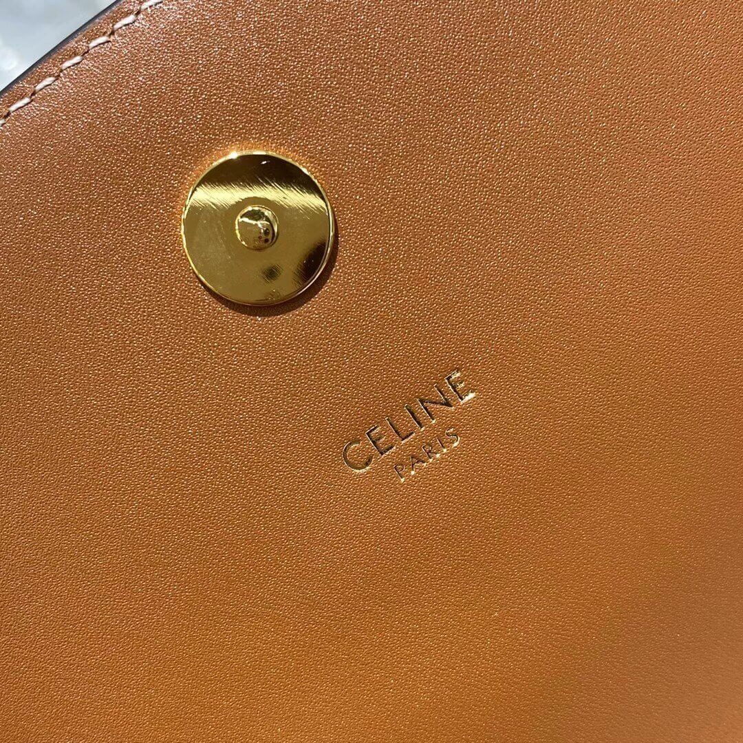 Celine Triomphe Saddle Bag In Triomphe Canvas 194152