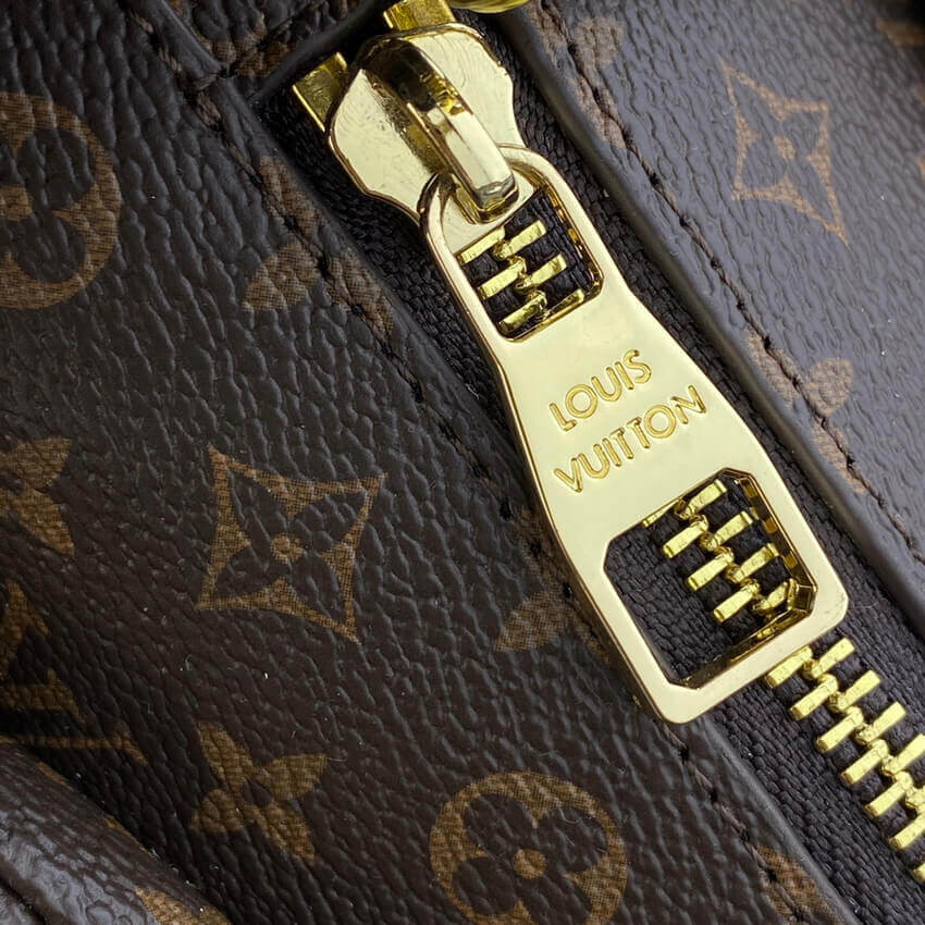 Louis Vuitton Monogram Canvas Duck Bag M45990
