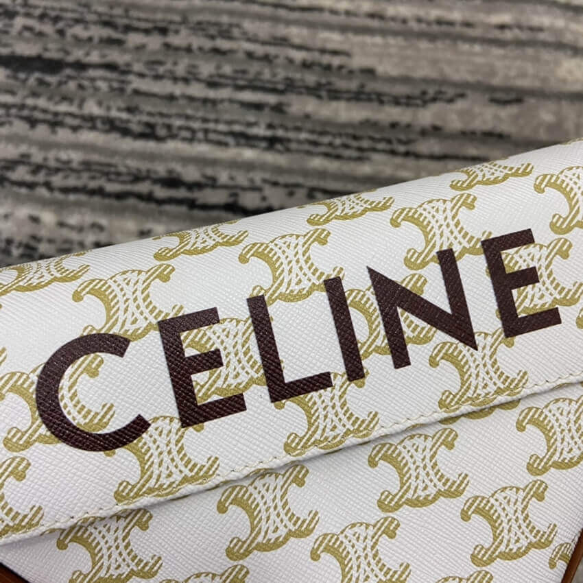 Celine Triangle Bag In Triomphe Canvas With Celine Print 195902