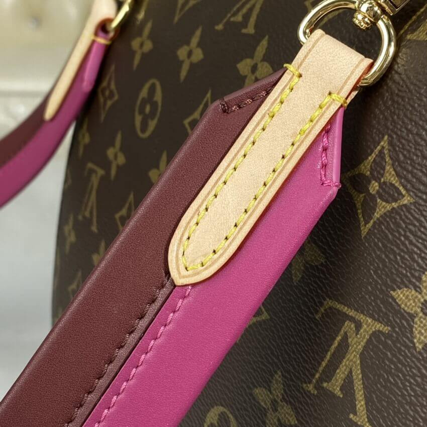 Louis Vuitton Monogram Canvas Cluny BB M42738