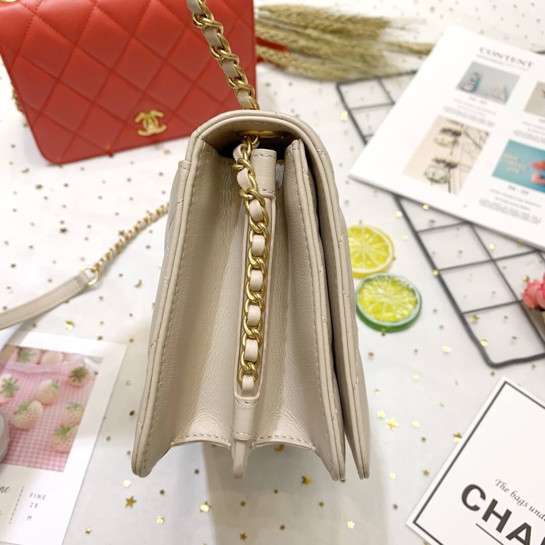 Chanel Calf Leather Single Flap Bag AS8869