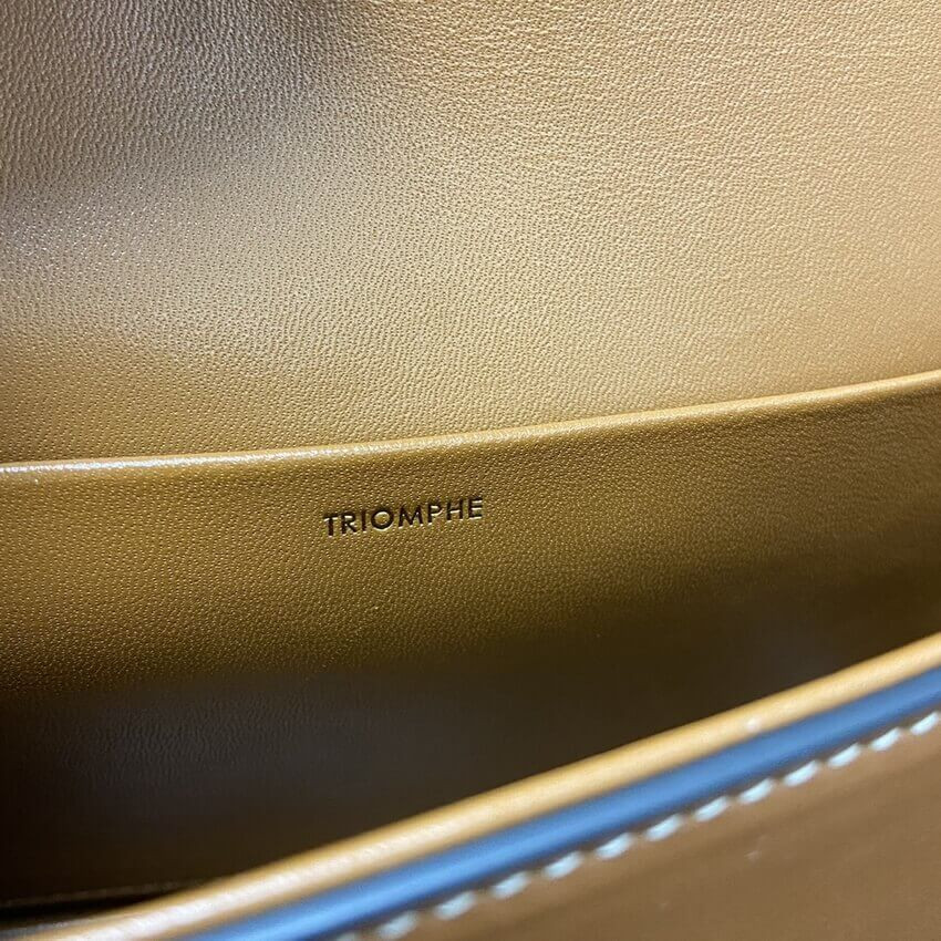 Celine Triomphe Shoulder Bag In Natural Calfskin 194143