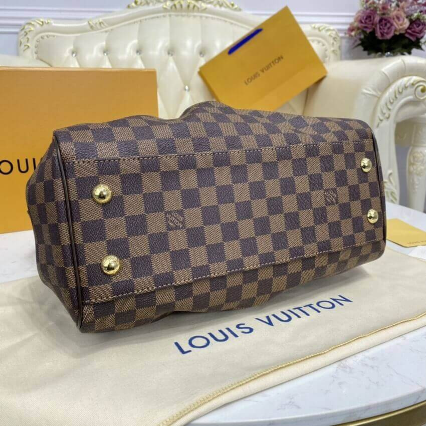 Louis Vuitton Damier Ebene Trevi PM N51197