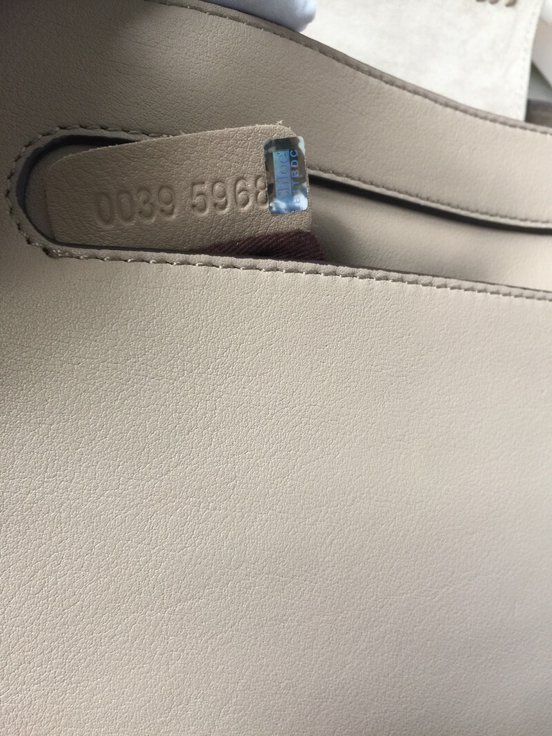 Chloe Mini Marcie Bag in Suede P580