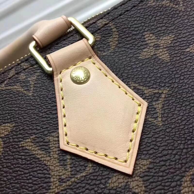 Louis Vuitton Monogram Canvas Speedy 25 M41109