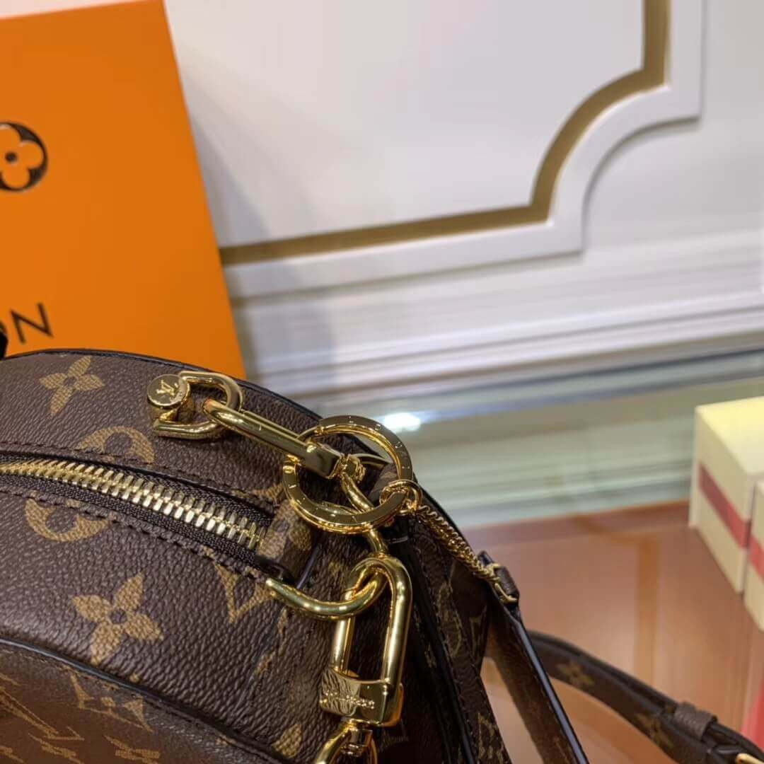 Louis Vuitton Monogram Mickey Print Round Bag M49986
