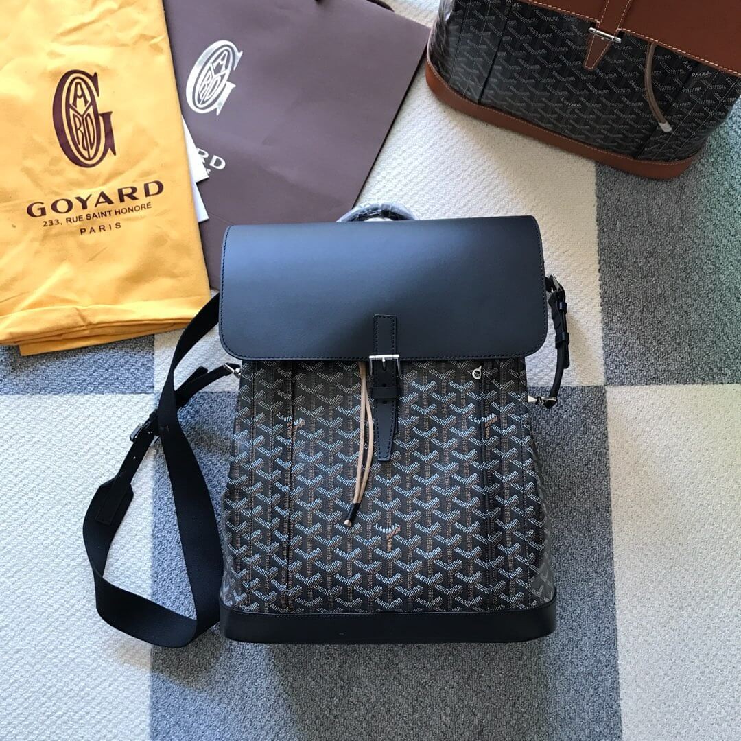 Goyard Calfskin Alpin Backpack 169555