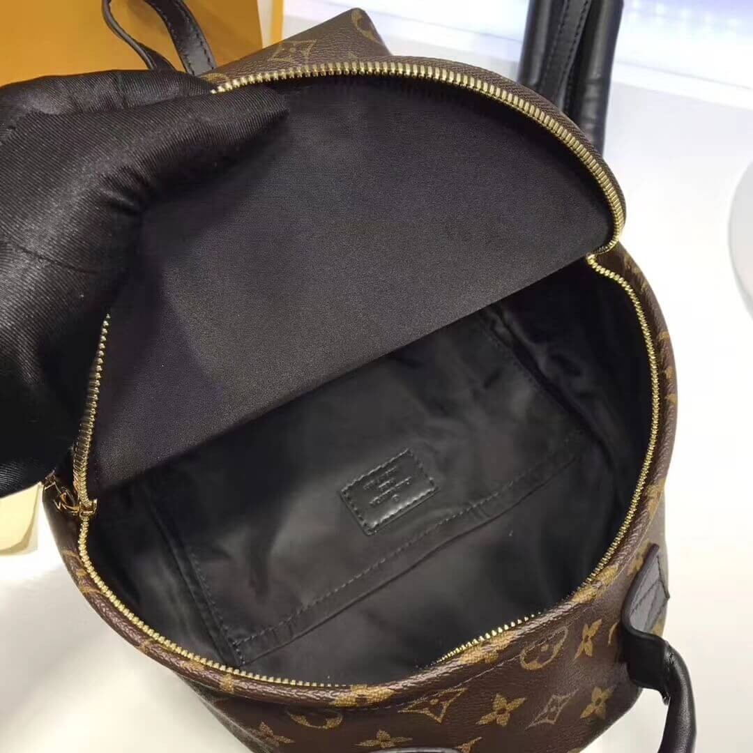 Louis Vuitton Monogram Canvas Palm Springs Backpack PM M41560