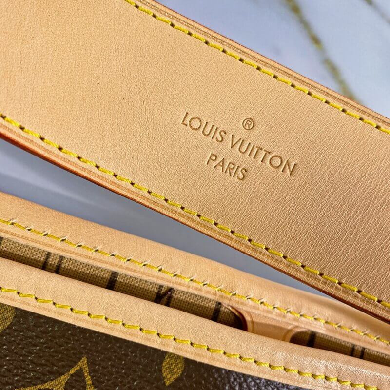 Louis Vuitton Monogram Canvas Delightful MM M50156