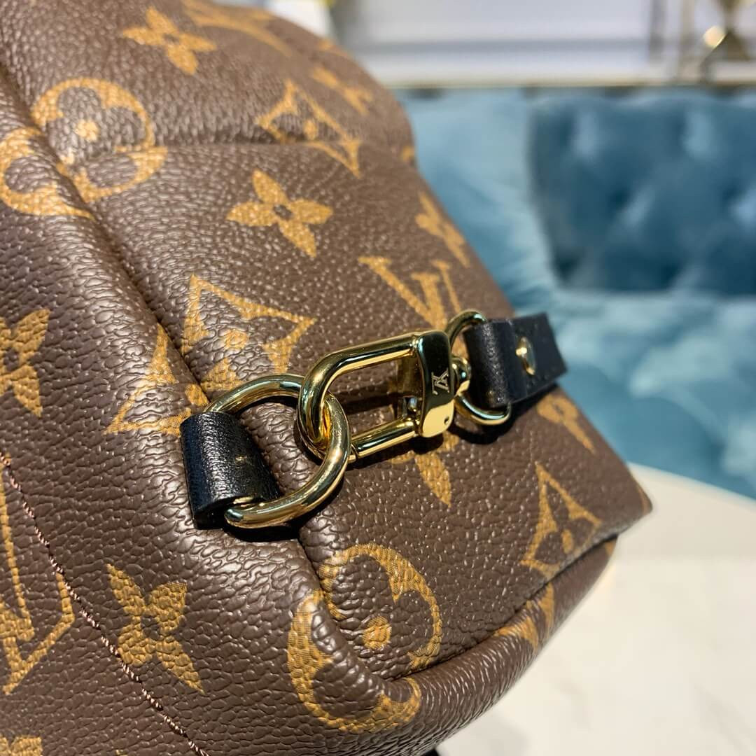 Louis Vuitton Monogram Canvas Palm Springs Backpack Mini M41562