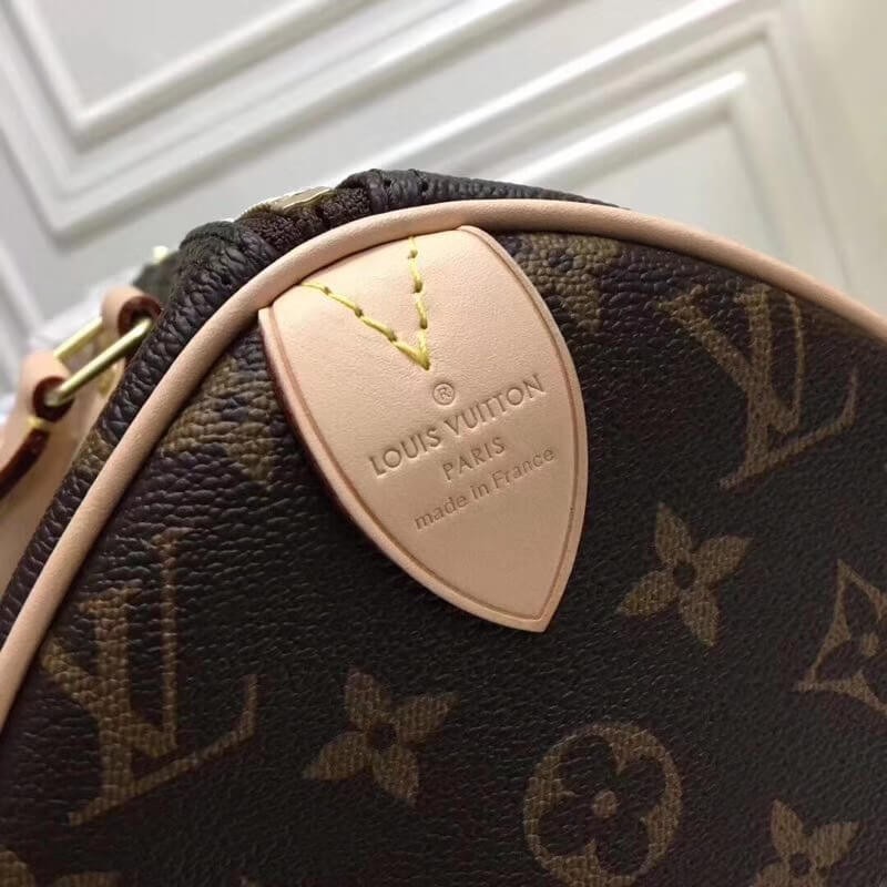 Louis Vuitton Monogram Canvas Speedy 25 M41109