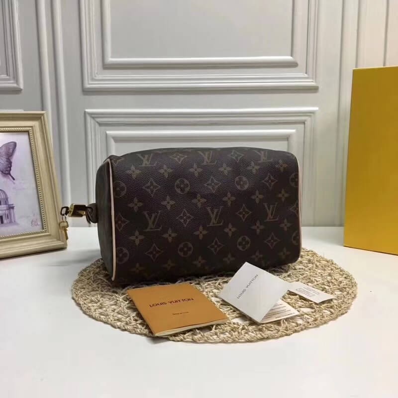 Louis Vuitton Monogram Canvas Speedy 25 M41109