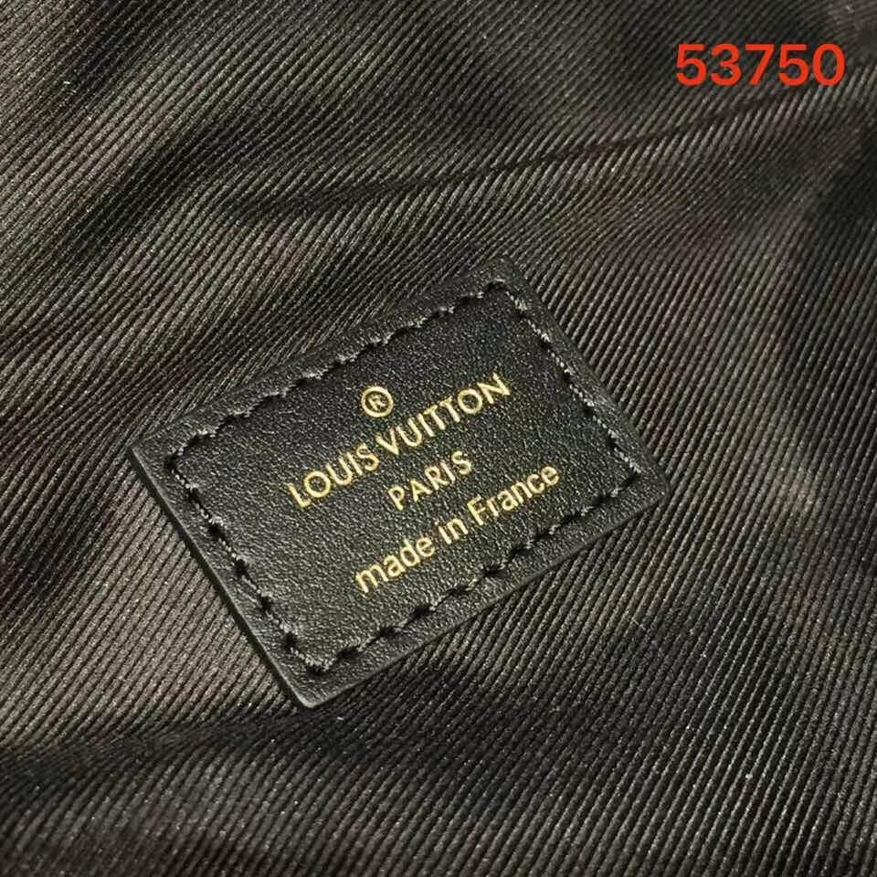 Louis Vuitton New Wave Leather Bumbag M53750