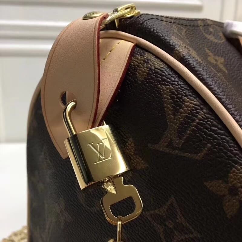 Louis Vuitton Monogram Canvas Speedy 25 M41109