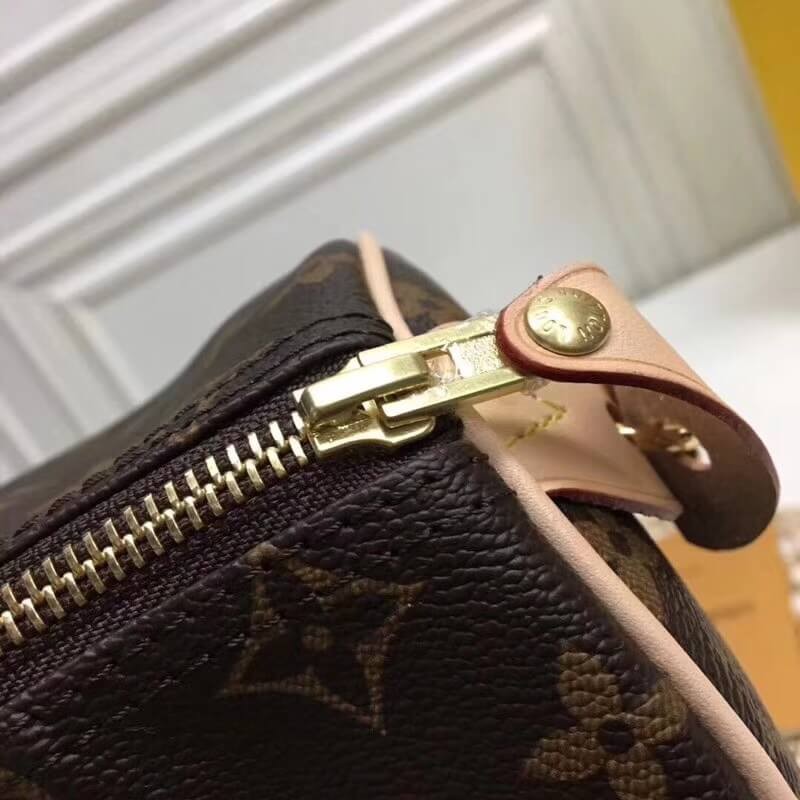 Louis Vuitton Monogram Canvas Speedy 25 M41109