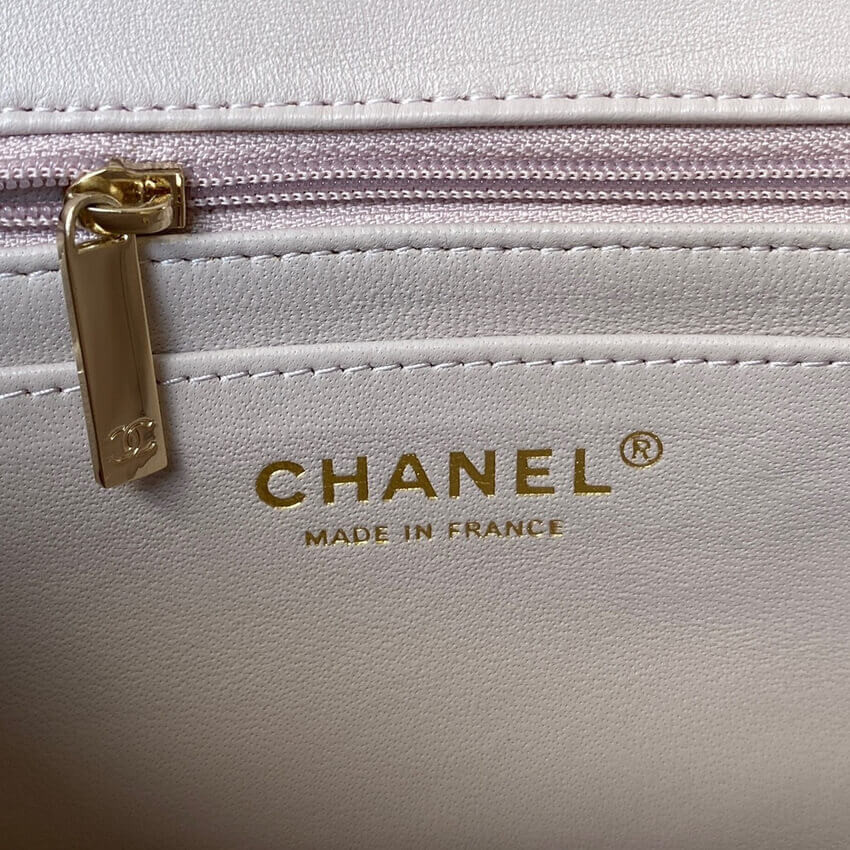 Chanel Mini Flap Bag With Top Handle AS2431 in Iridescent Lambskin