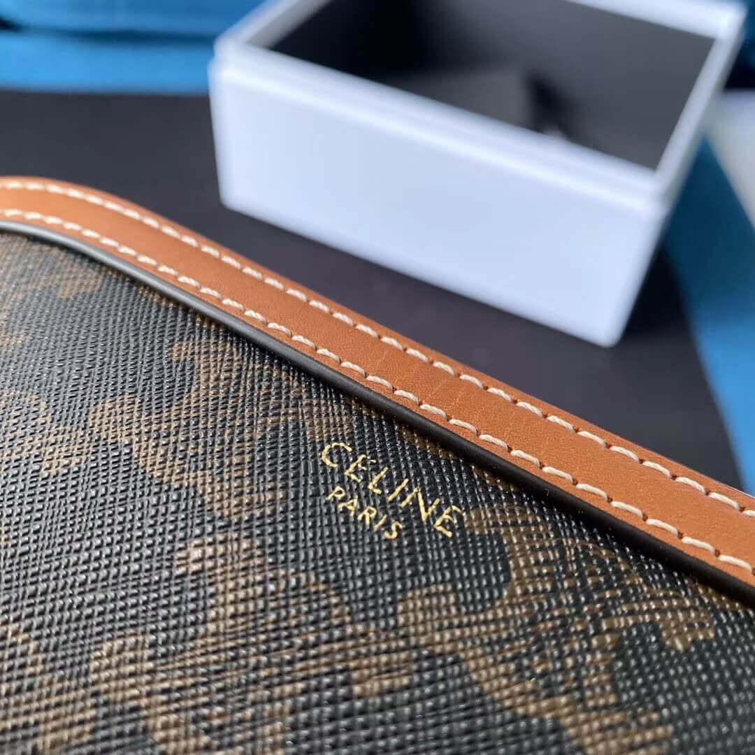 Celine Small Camera Bag In Triomphe Canvas 191522