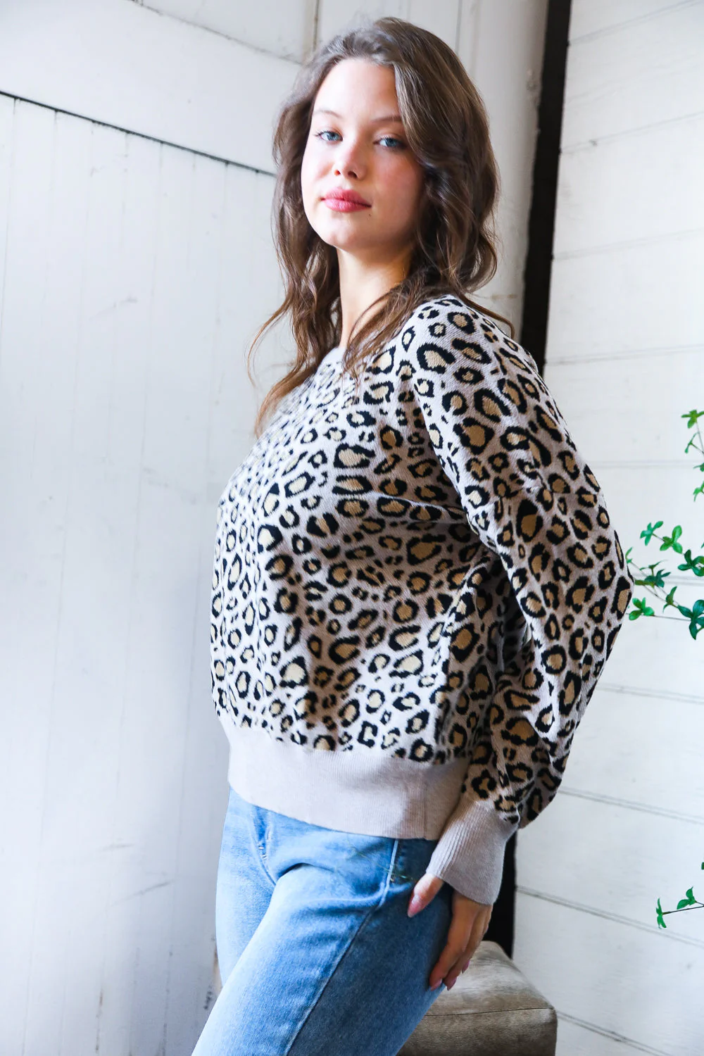 Savanna Style Leopard Pullover