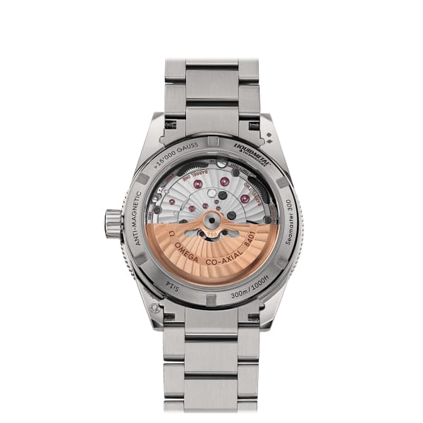 Omega Seamaster Ref. # 233.90.41.21.03.002