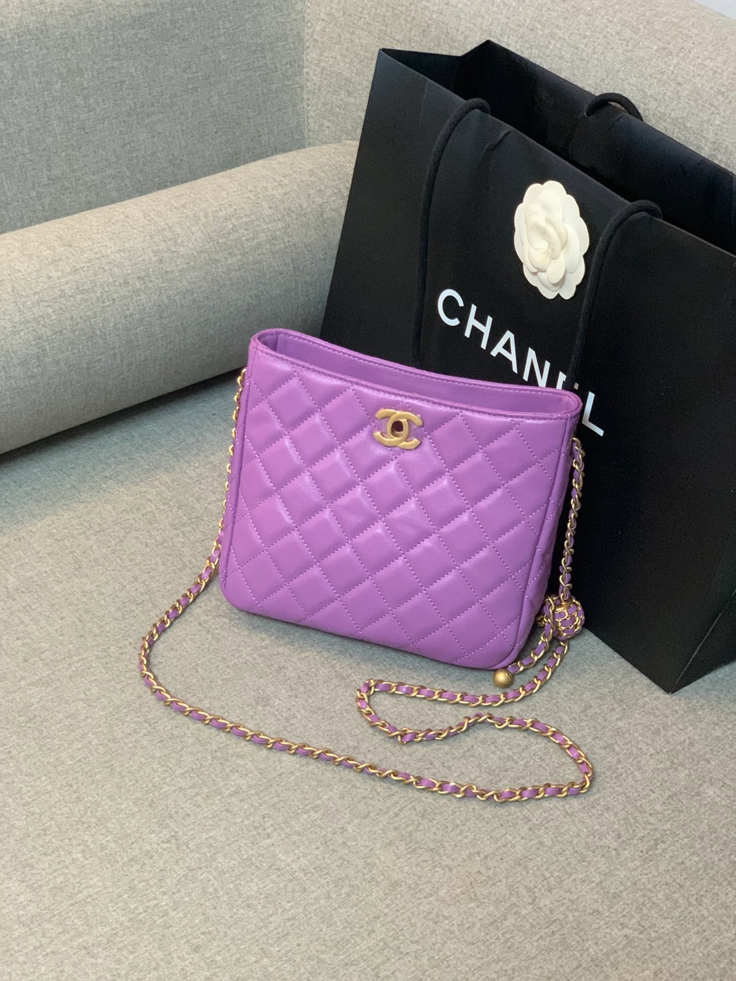 Chanel Hobo Handbag Purple Bag For Women 16cm/6in
