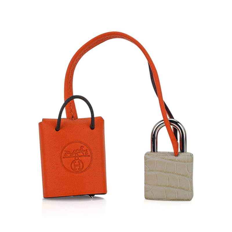 Limited Edition Birkin 20 Faubourg Sellier Bag Neige (Snow) White Matte Alligator