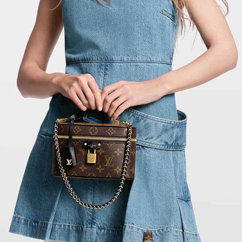 Louis Vuitton Vanity Chain Pouch M47125