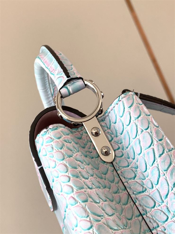 LOUIS VUITTON CAPUCINES MINI Light Blue – LW053