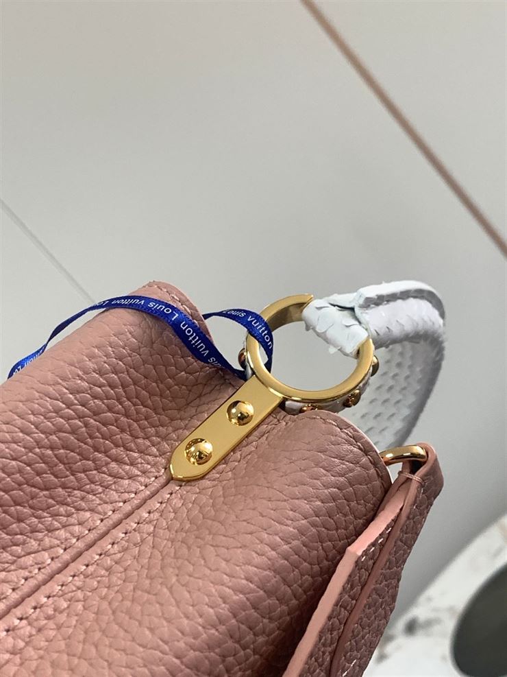 LOUIS VUITTON CAPUCINES MINI Pink – LW045