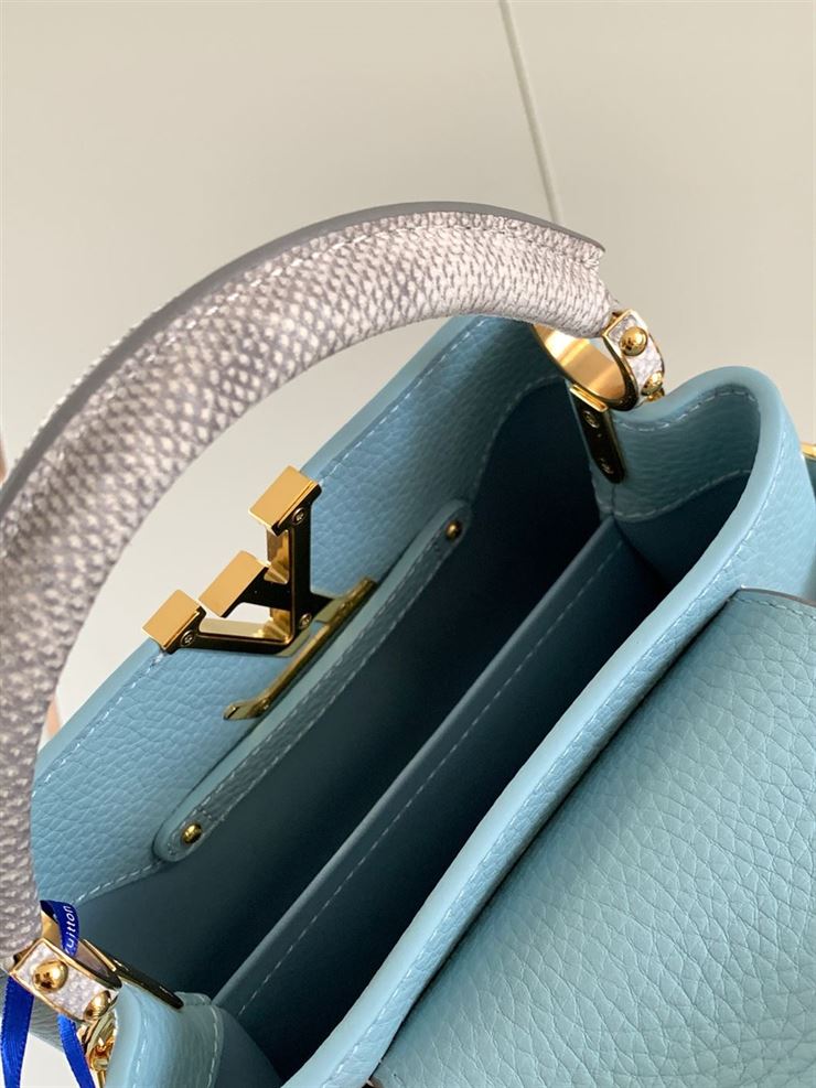 LOUIS VUITTON CAPUCINES MINI – LW028