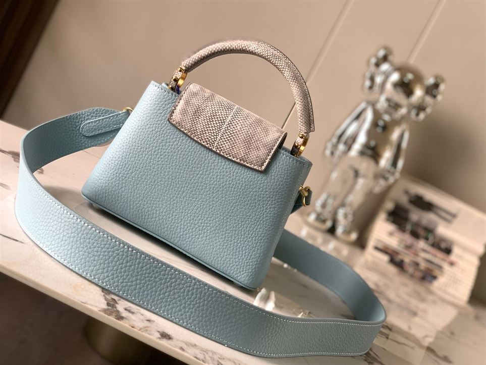 LOUIS VUITTON CAPUCINES MINI – LW028