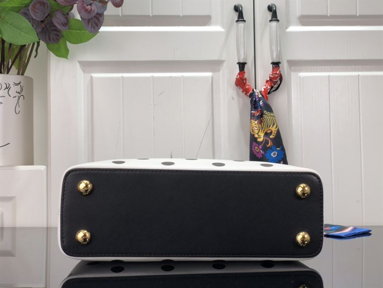 LOUIS VUITTON CAPUCINES BB White & Black – LW093