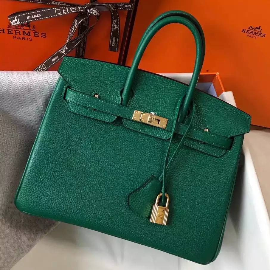 Hermes Birkin 25cm Bag In Vert Vertigo Clemence Leather GHW – HW016