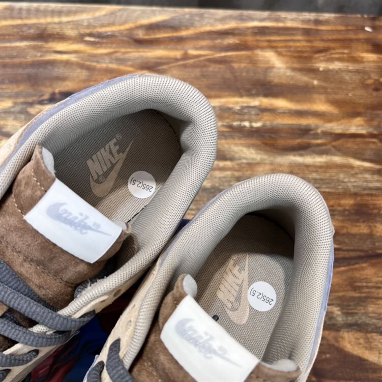 NIKE SB DUNK LOW SNEAKER – NSN002