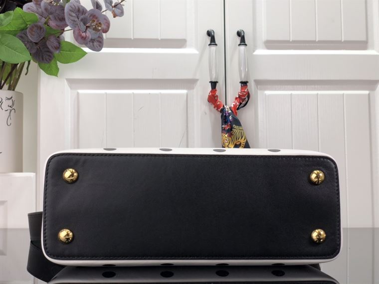 LOUIS VUITTON CAPUCINES MM White And Black – LW095