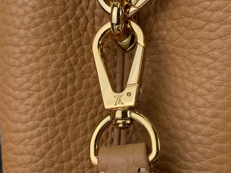 LOUIS VUITTON CAPUCINES MINI BROWN – LW105