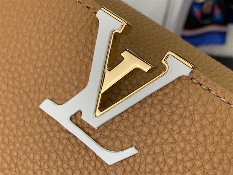 LOUIS VUITTON CAPUCINES MINI BROWN – LW105